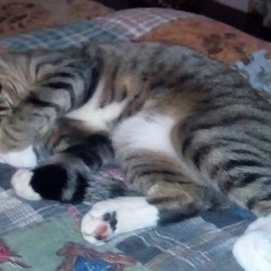 Meet your Posher, Nancy